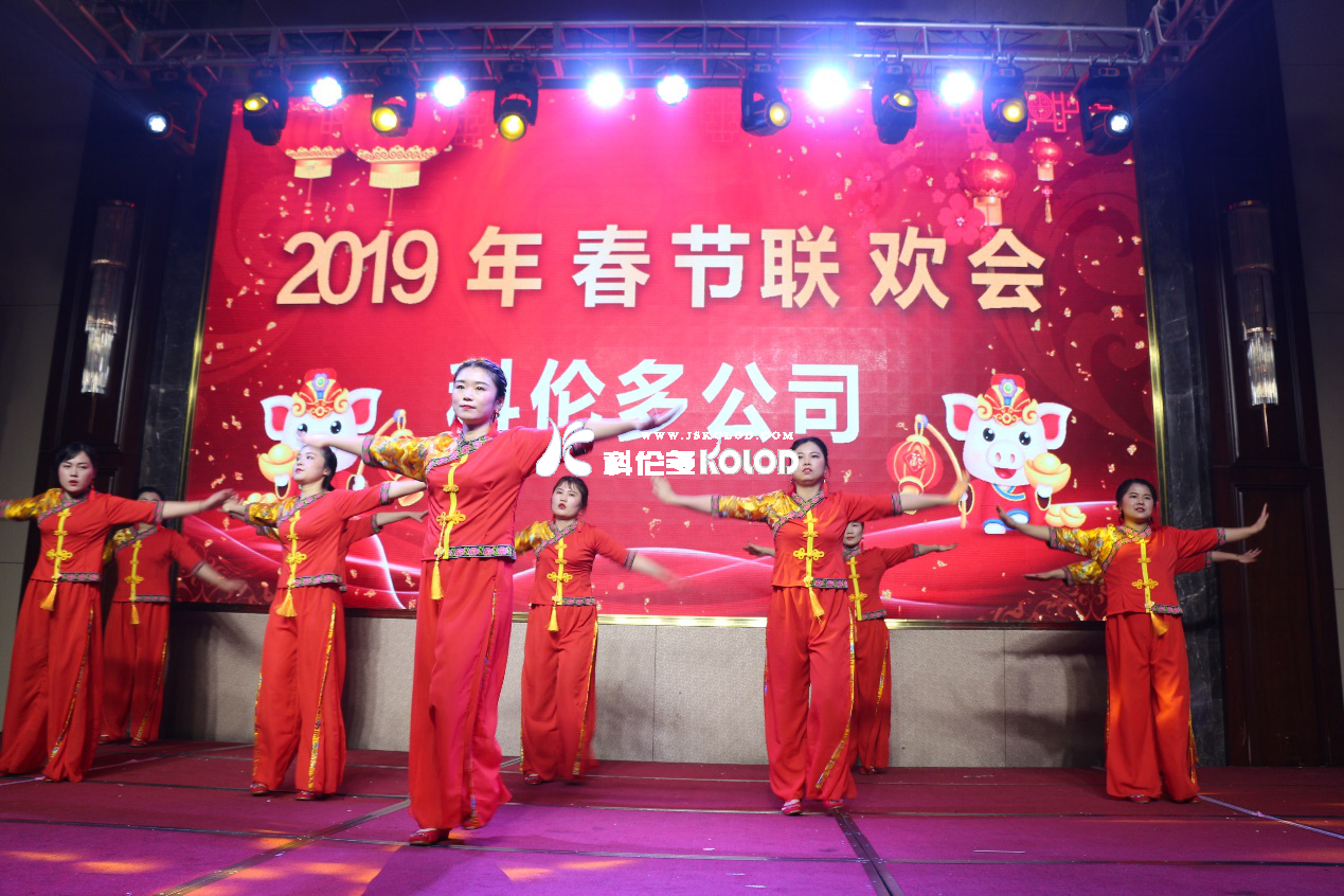 凱歌高奏辭舊歲，豪情滿(mǎn)懷迎新年 （科倫多隆重舉行2019春節聯(lián)歡晚會(huì )）