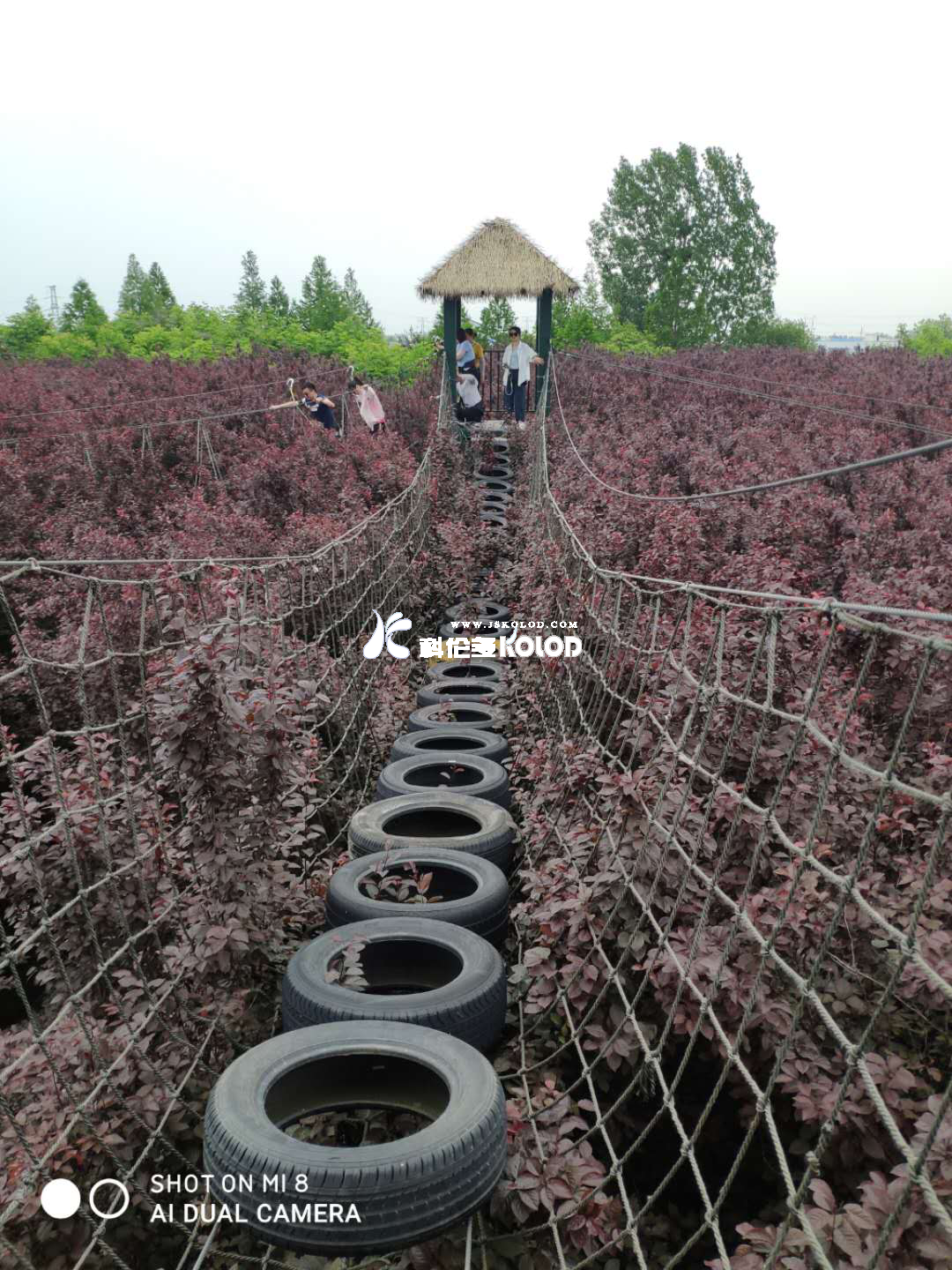 追求卓越團隊、鑄造優(yōu)秀團隊、共創(chuàng  )企業(yè)輝煌 （江蘇科倫多赴兆隆林海灣叢林樂(lè )園開(kāi)展團建活動(dòng)）